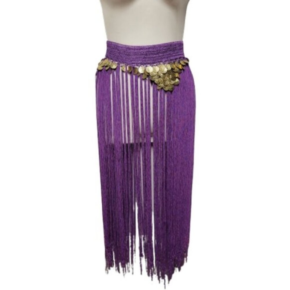 Hip Skirt Belly Dance Tassels Fringe Skirt Bellydance Coins and Fringe Hip Scarf - Picture 13 of 14